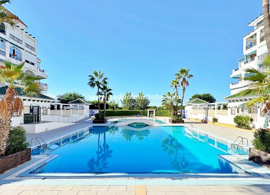 Reventa - Apartamento -
Torrevieja - La Mata