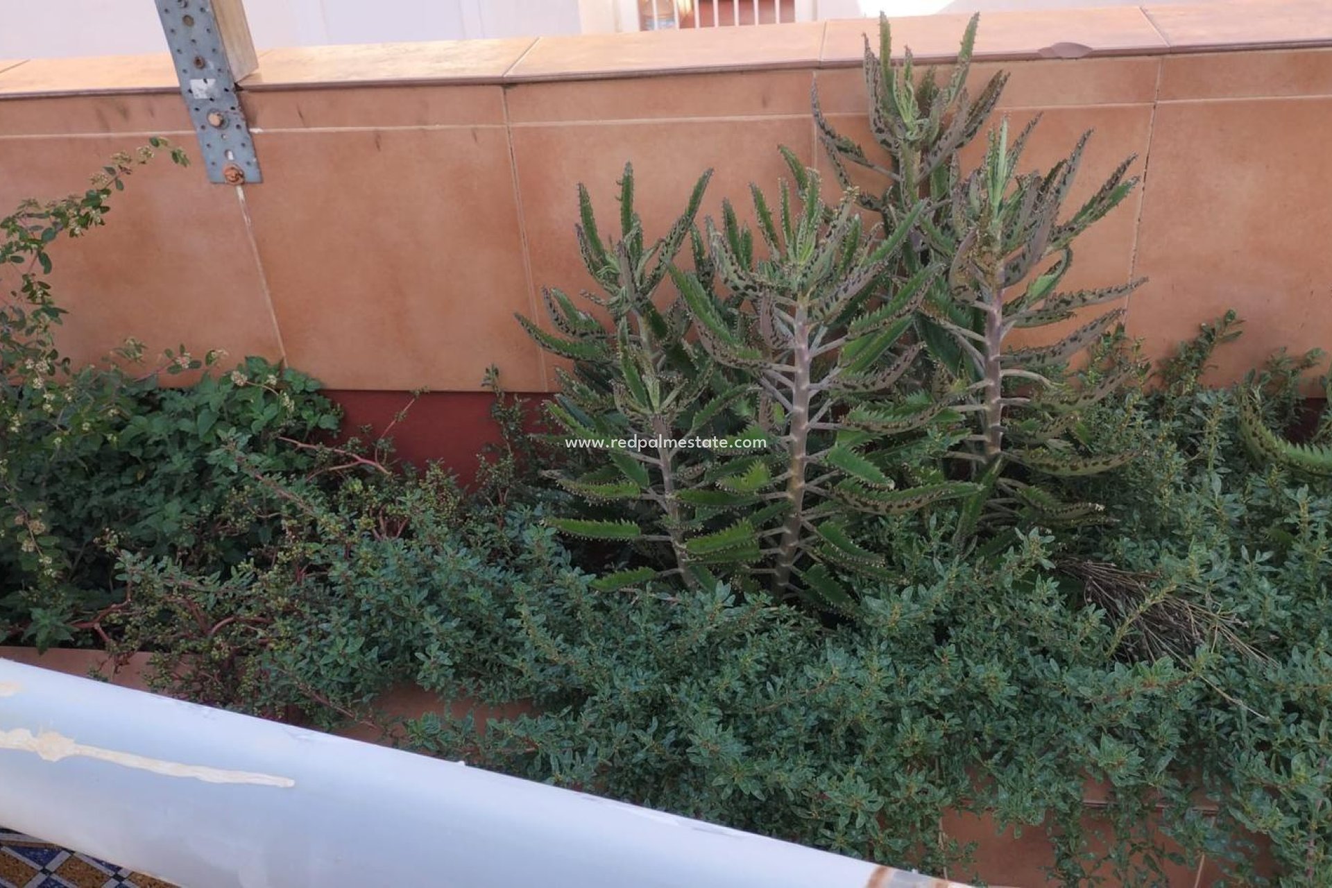 Reventa - Apartamento -
Torrevieja - La Mata