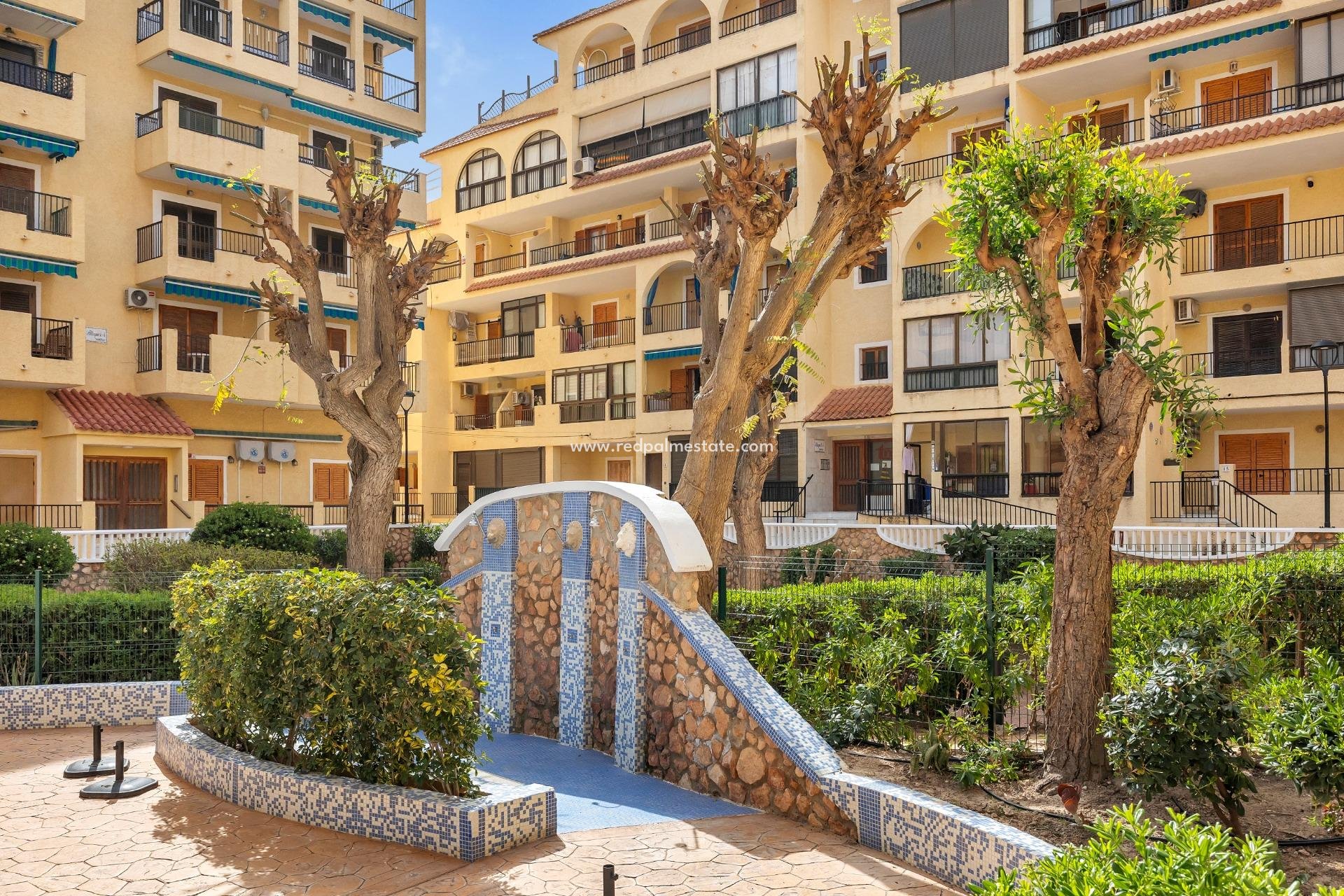 Reventa - Apartamento -
Torrevieja - La Mata
