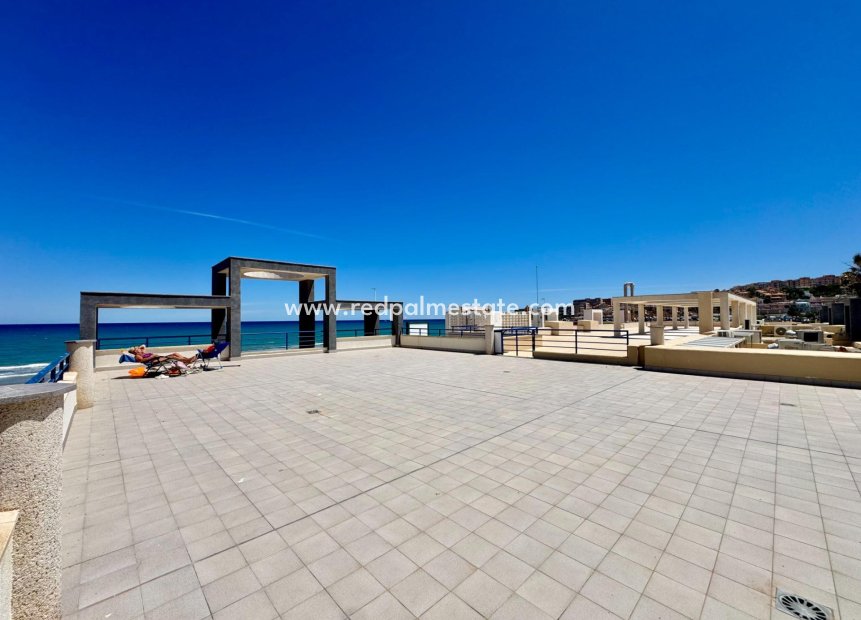 Reventa - Apartamento -
Torrevieja - La Mata