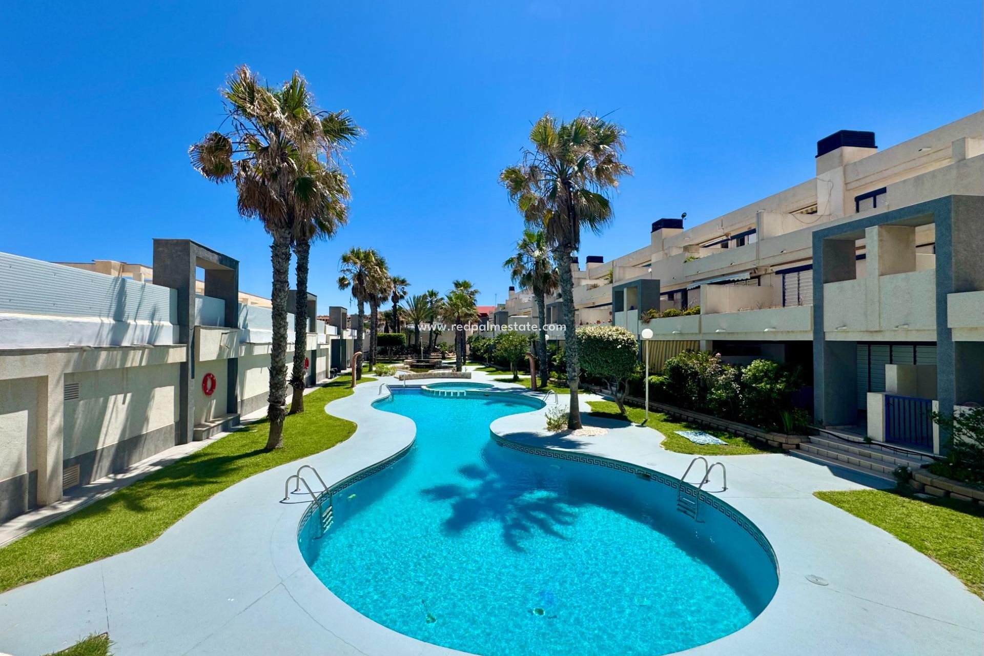 Reventa - Apartamento -
Torrevieja - La Mata