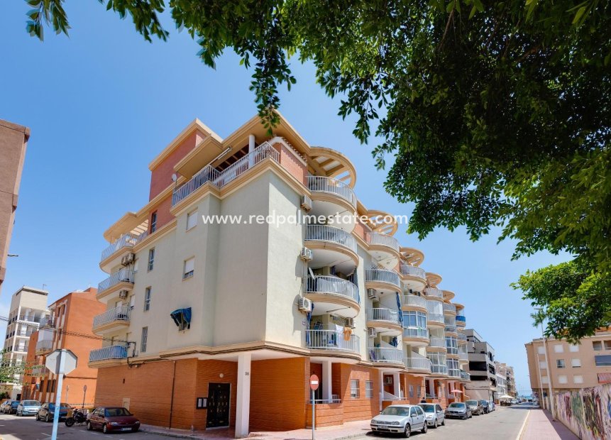 Reventa - Apartamento -
Torrevieja - La Mata