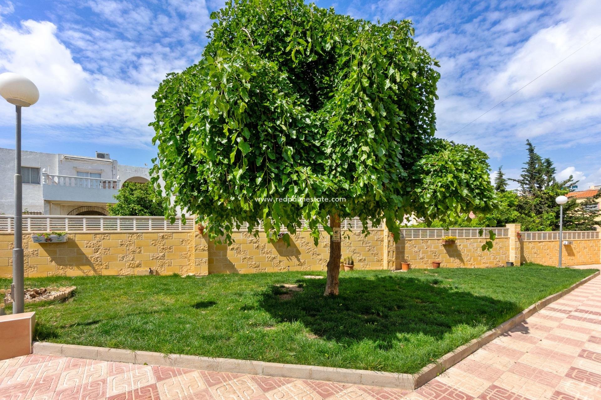 Reventa - Apartamento -
Torrevieja - La Siesta - El Salado - Torreta