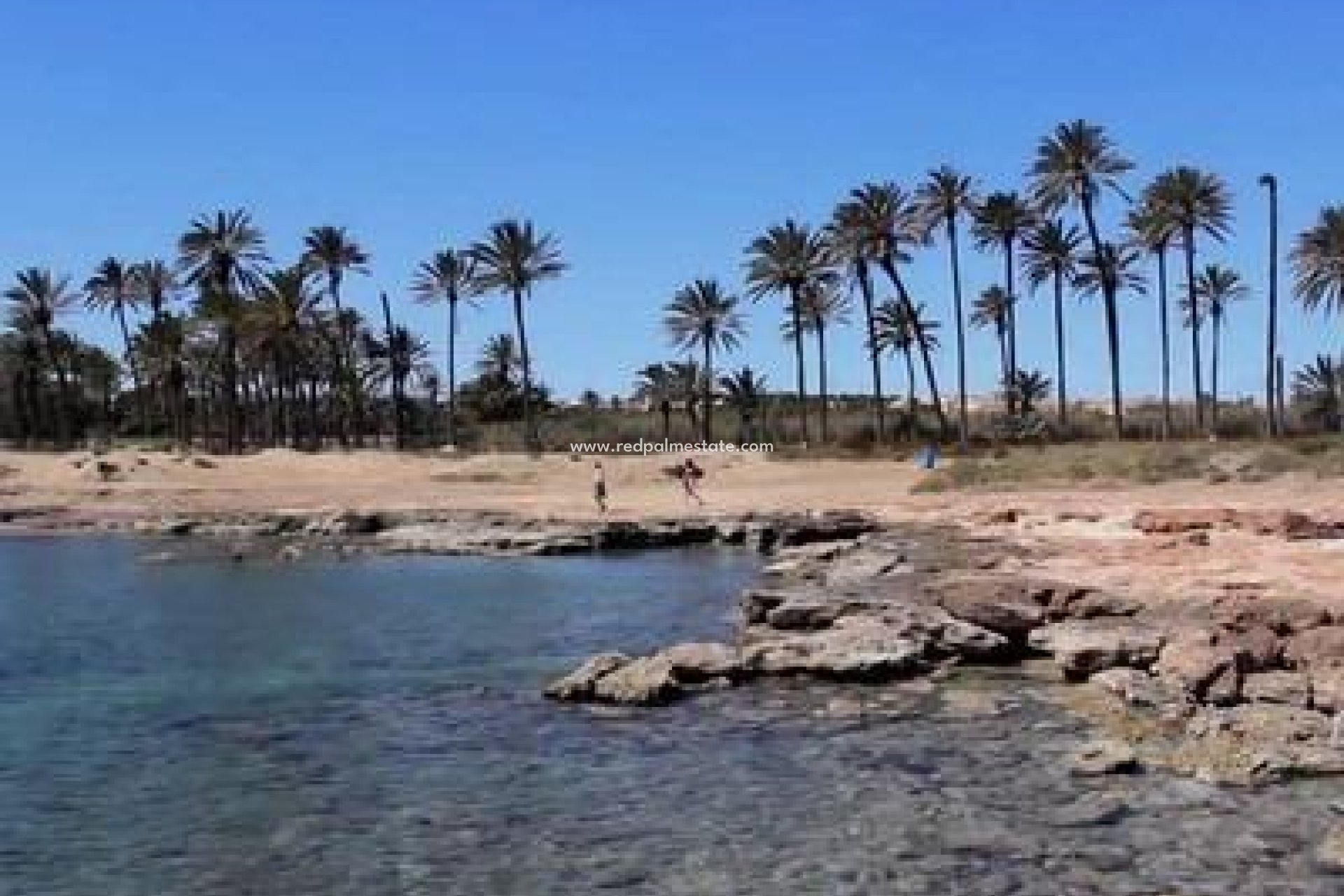 Reventa - Apartamento -
Torrevieja - La Veleta