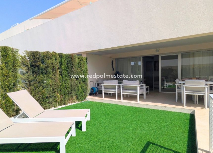 Reventa - Apartamento -
Torrevieja - Los balcones