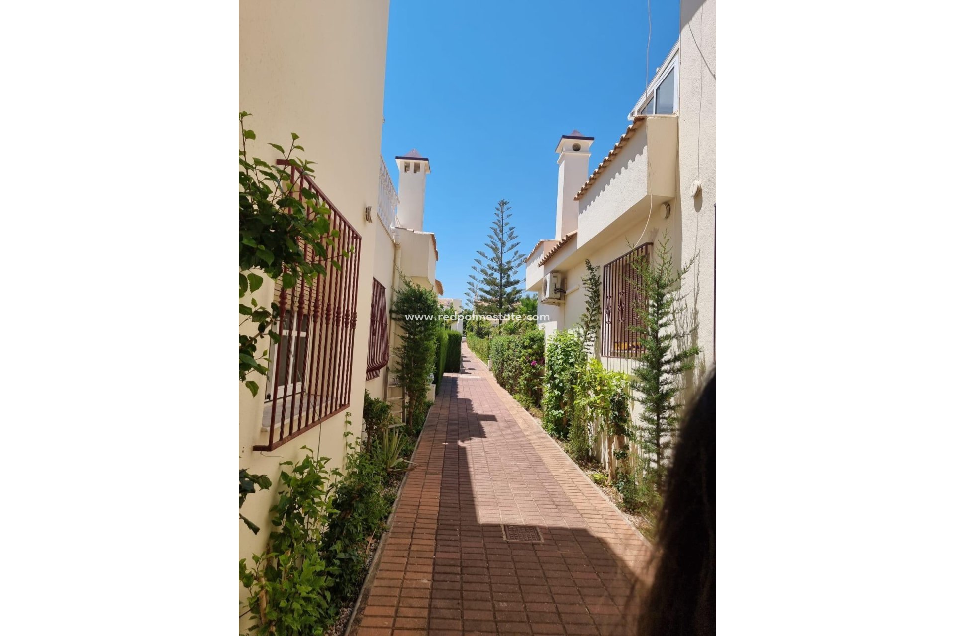 Reventa - Apartamento -
Torrevieja - Los balcones