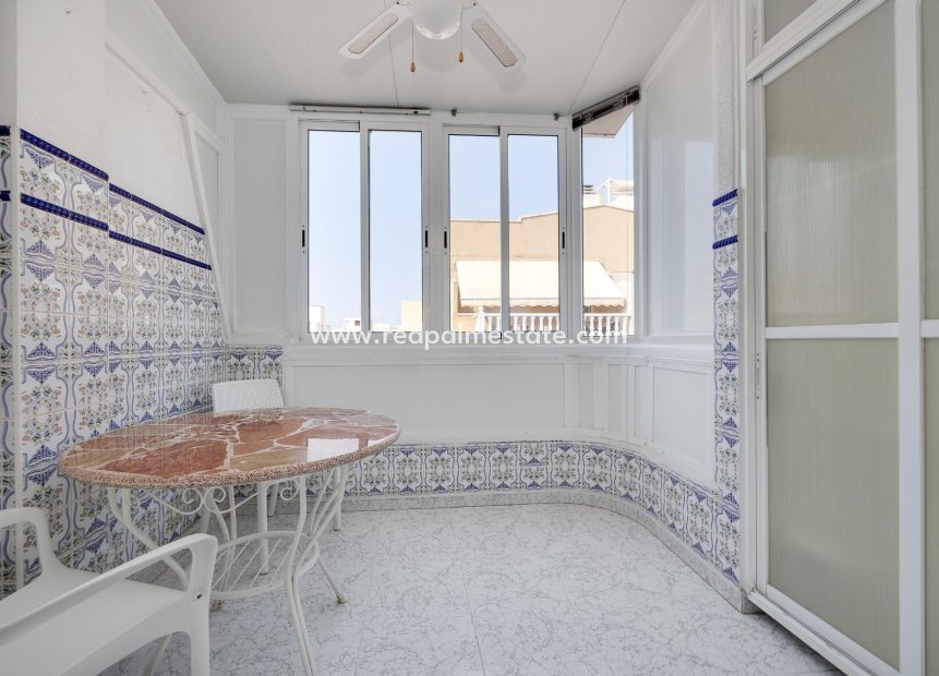 Reventa - Apartamento -
Torrevieja - Los Frutales