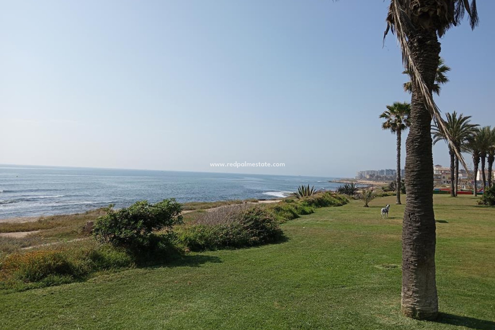 Reventa - Apartamento -
Torrevieja - MAR AZUL LA VELETA