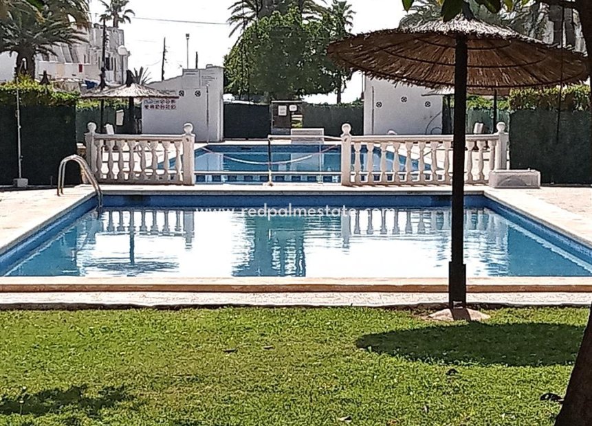 Reventa - Apartamento -
Torrevieja - MAR AZUL LA VELETA