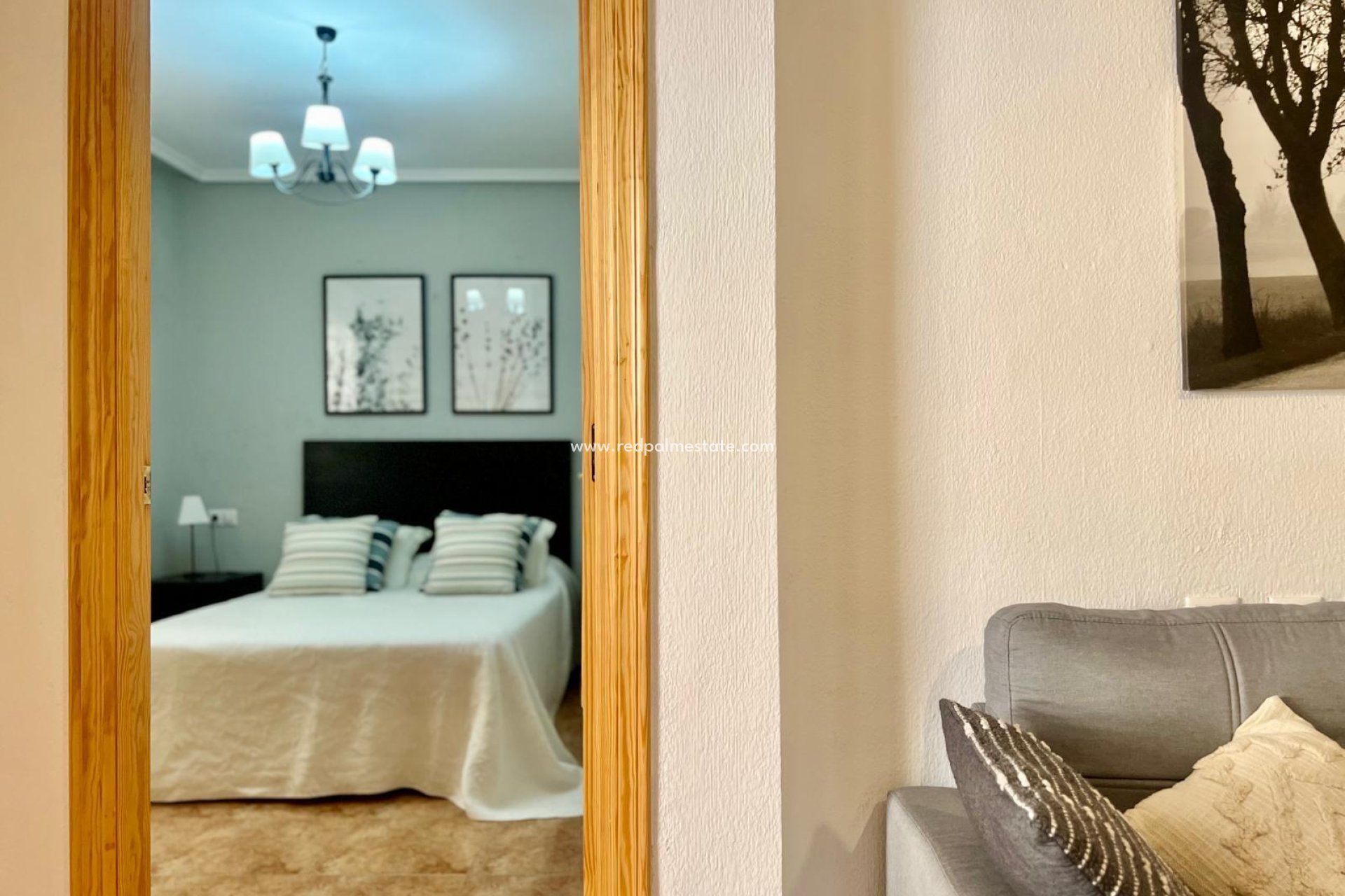 Reventa - Apartamento -
Torrevieja - PARQUE DE LAS NACIONES