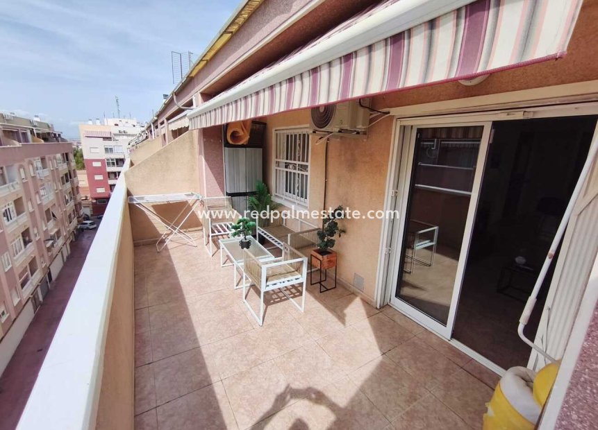 Reventa - Apartamento -
Torrevieja - PARQUE DE LAS NACIONES