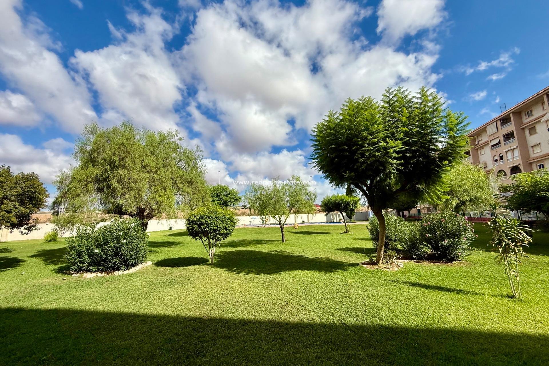 Reventa - Apartamento -
Torrevieja - PARQUE DE LAS NACIONES