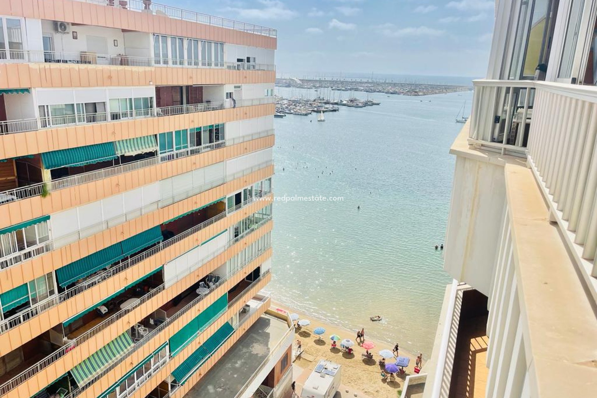 Reventa - Apartamento -
Torrevieja - Playa Acequion