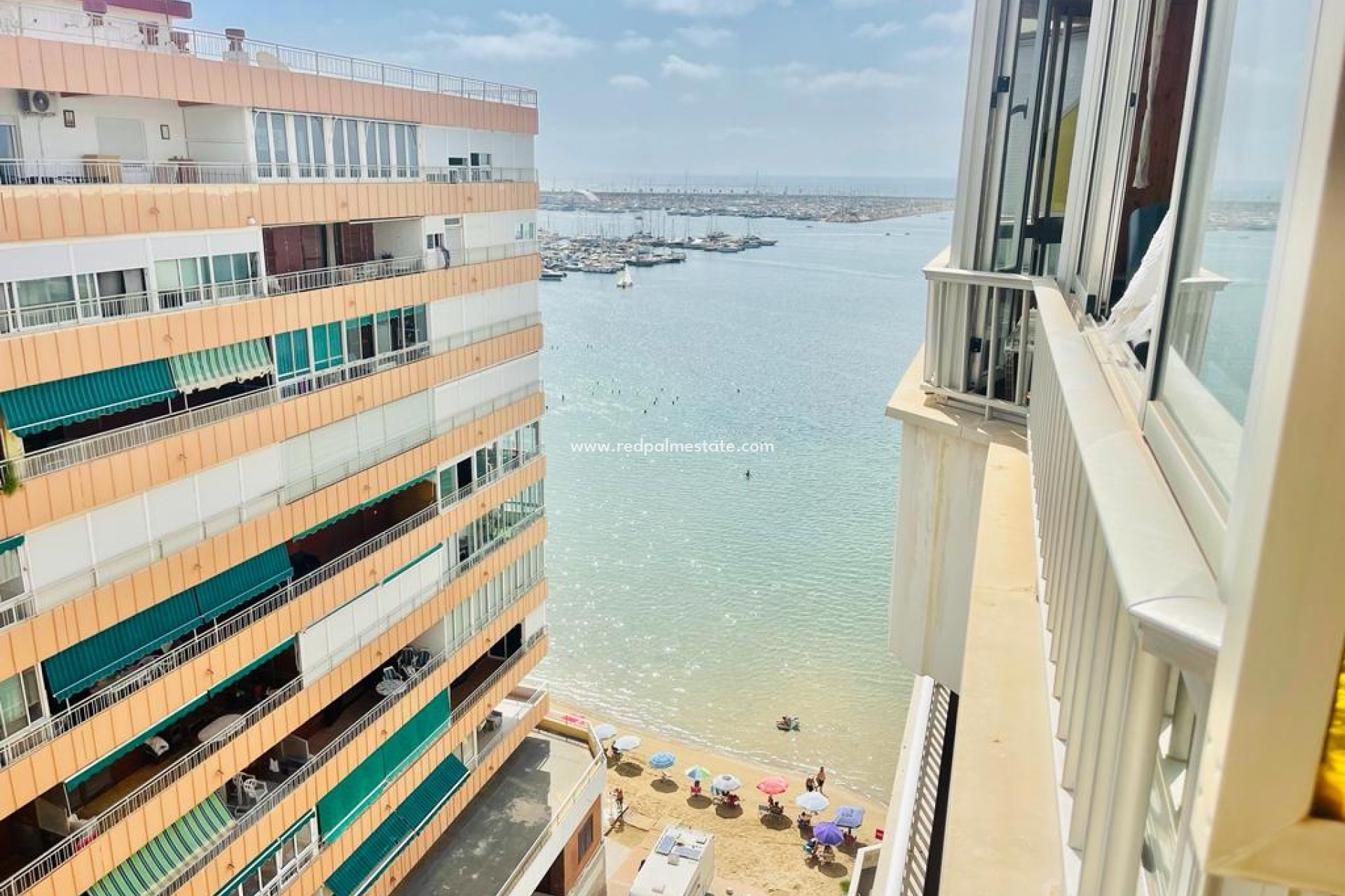 Reventa - Apartamento -
Torrevieja - Playa Acequion