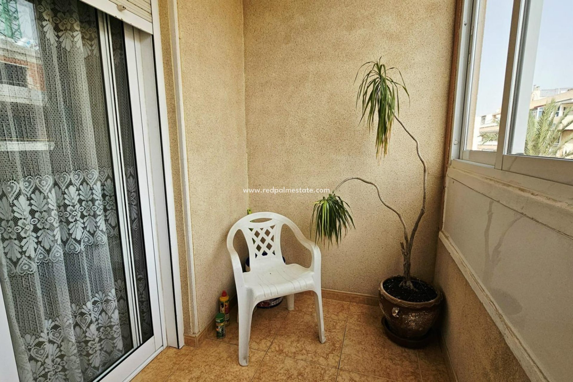 Reventa - Apartamento -
Torrevieja - Playa de los Locos