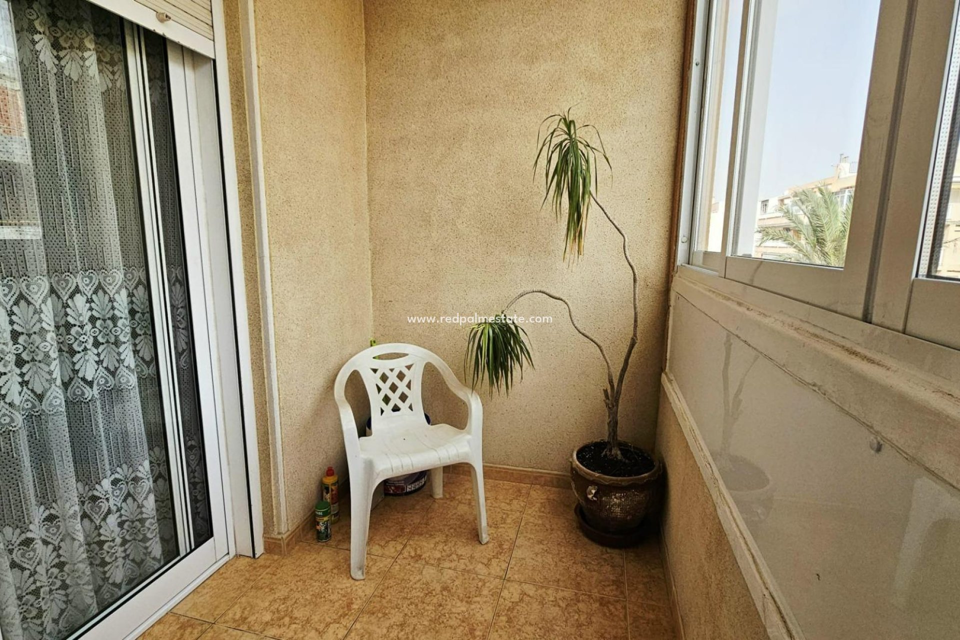 Reventa - Apartamento -
Torrevieja - Playa de los Locos