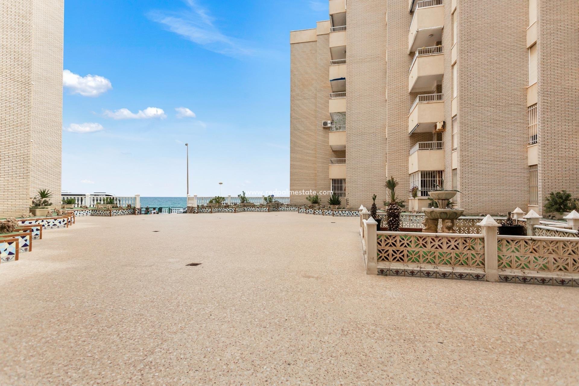 Reventa - Apartamento -
Torrevieja - Playa de los Locos