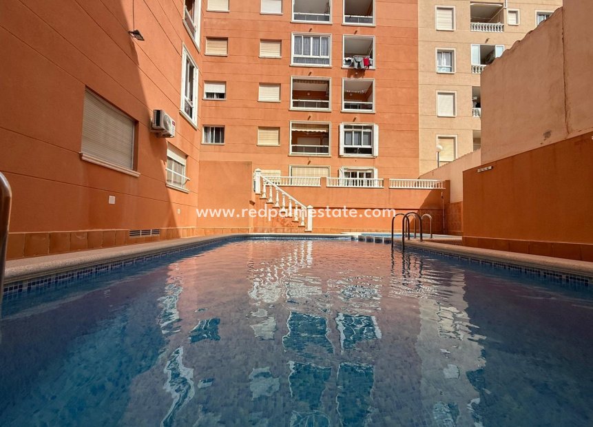 Reventa - Apartamento -
Torrevieja - Playa de los Locos