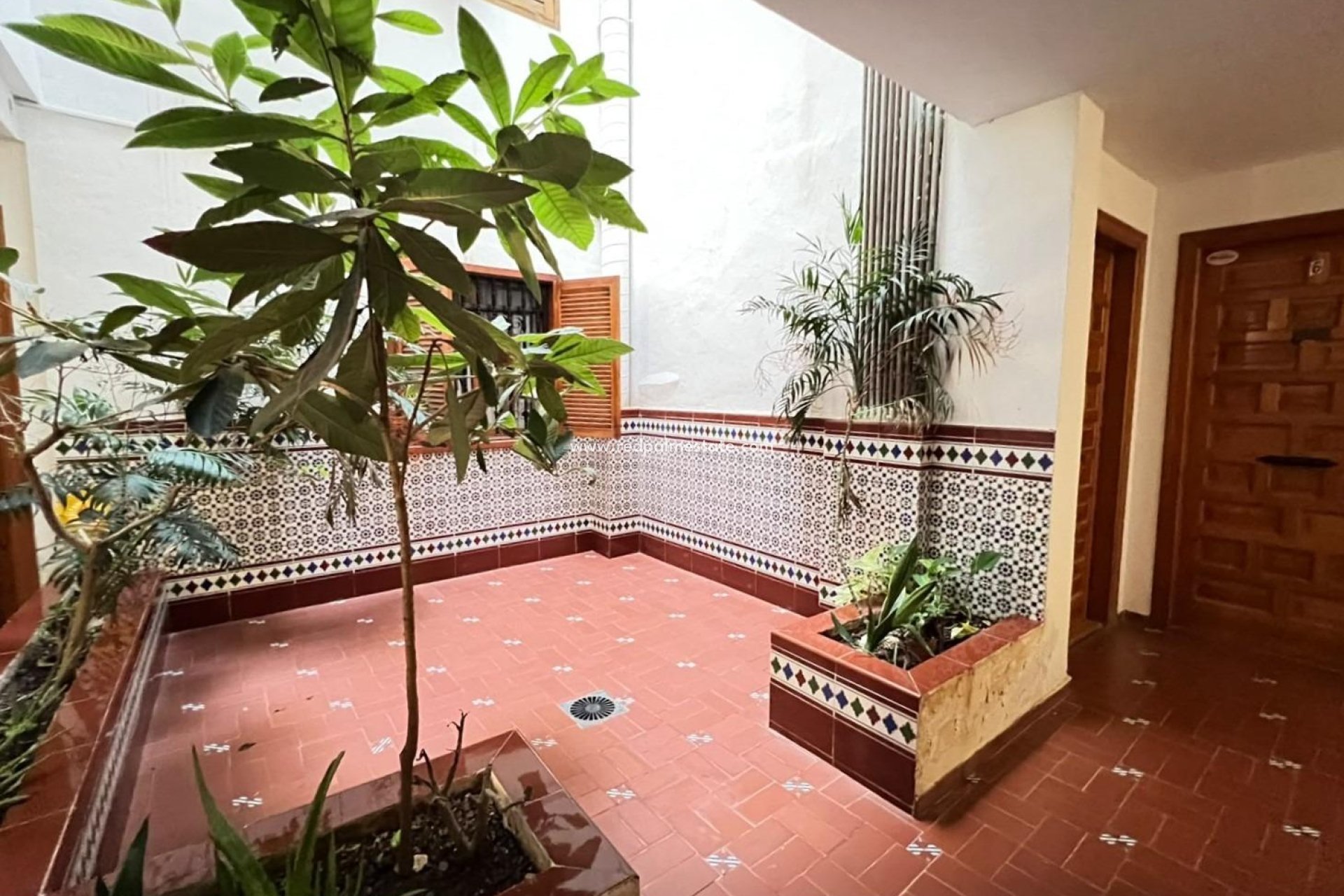 Reventa - Apartamento -
Torrevieja - Playa de los Locos