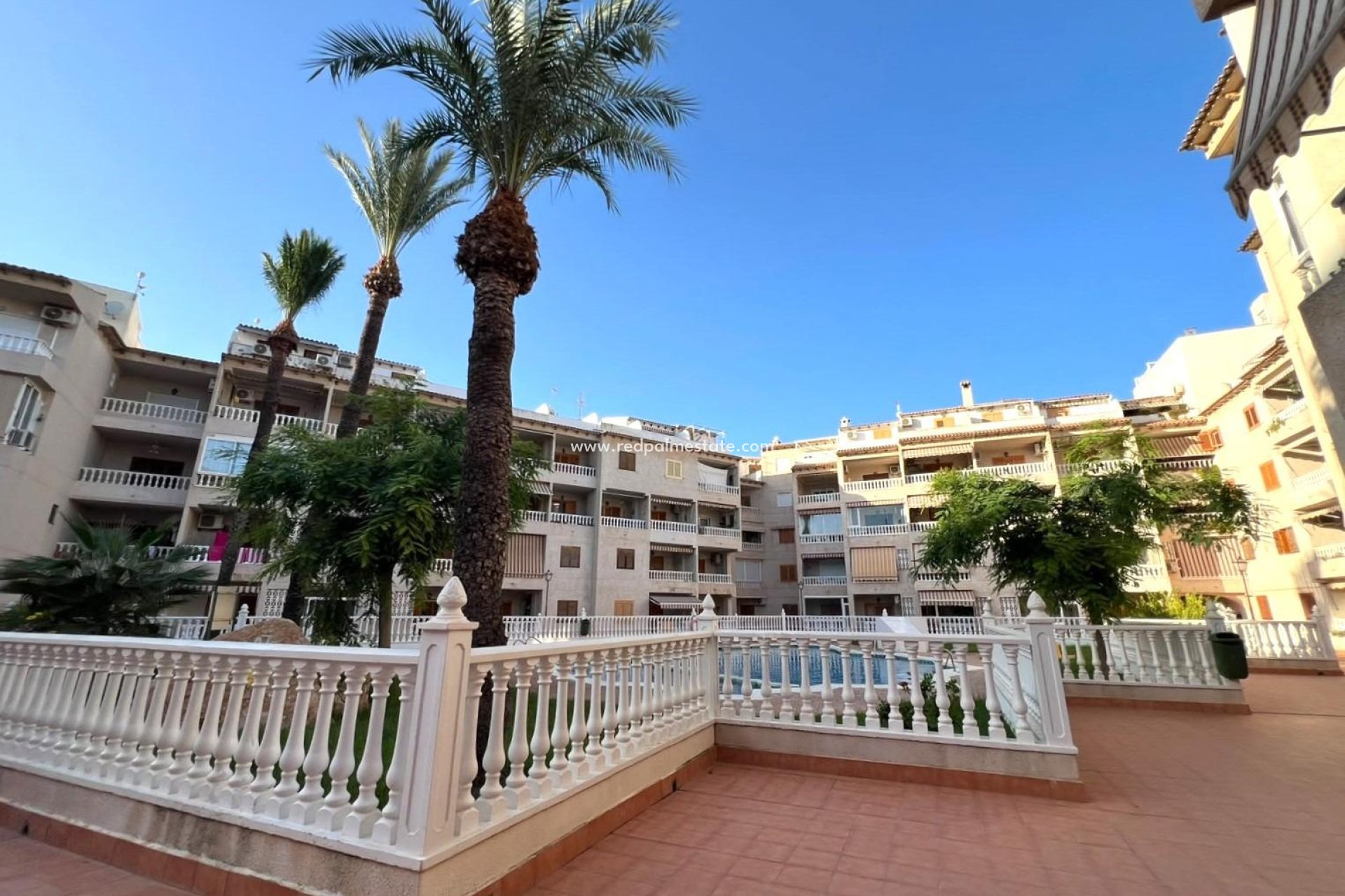 Reventa - Apartamento -
Torrevieja - Playa de los Locos