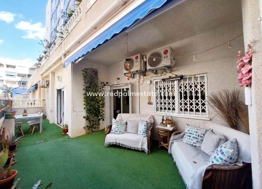 Reventa - Apartamento -
Torrevieja - Playa de los locos