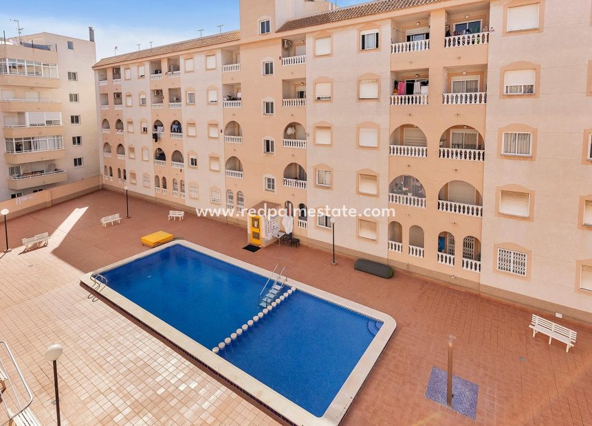 Reventa - Apartamento -
Torrevieja - Playa del Cura