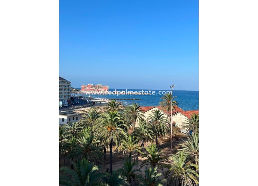 Reventa - Apartamento -
Torrevieja - Playa del Cura