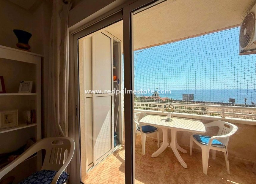 Reventa - Apartamento -
Torrevieja - Playa del Cura