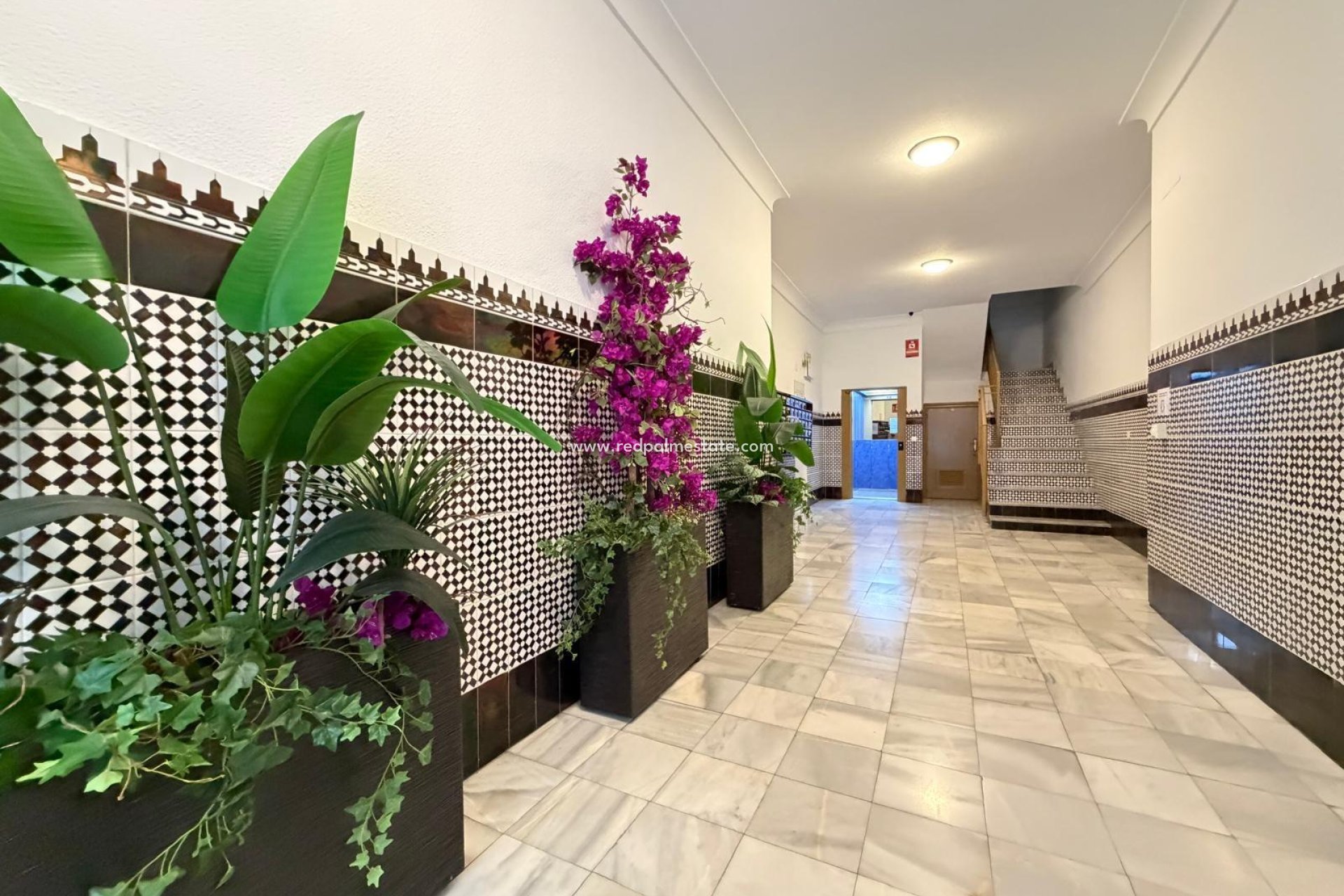 Reventa - Apartamento -
Torrevieja - Playa del Cura