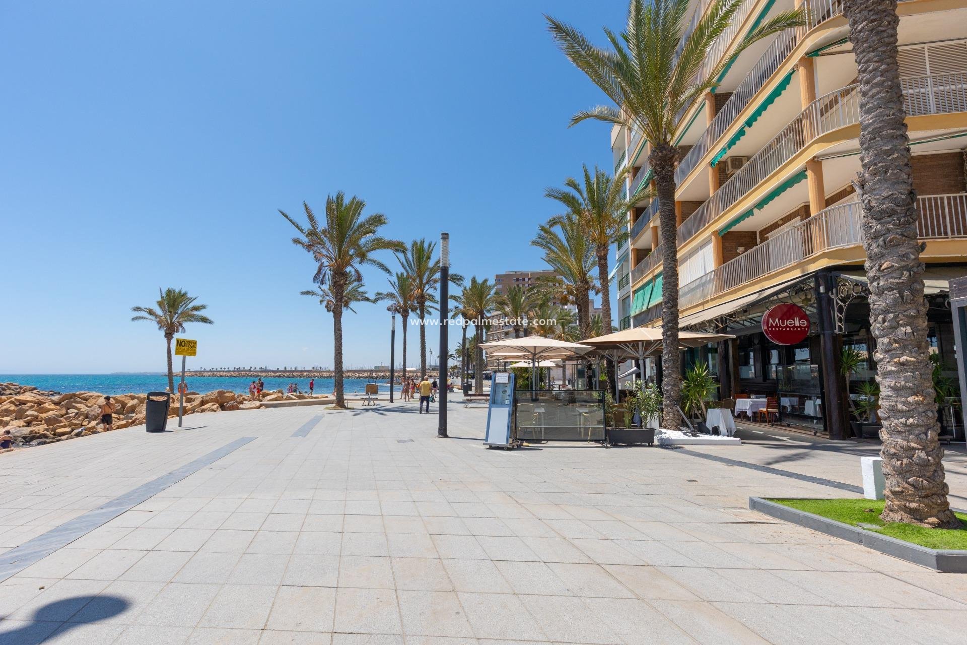 Reventa - Apartamento -
Torrevieja - Playa del Cura