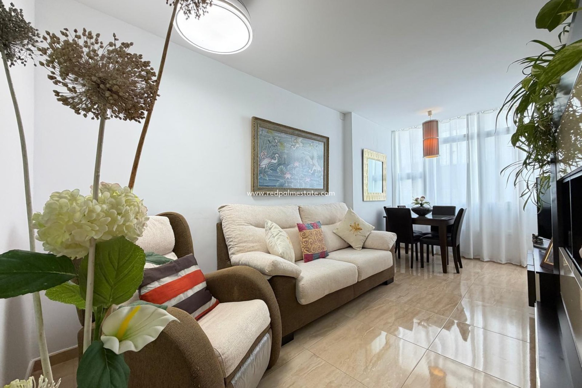 Reventa - Apartamento -
Torrevieja - Playa del Cura
