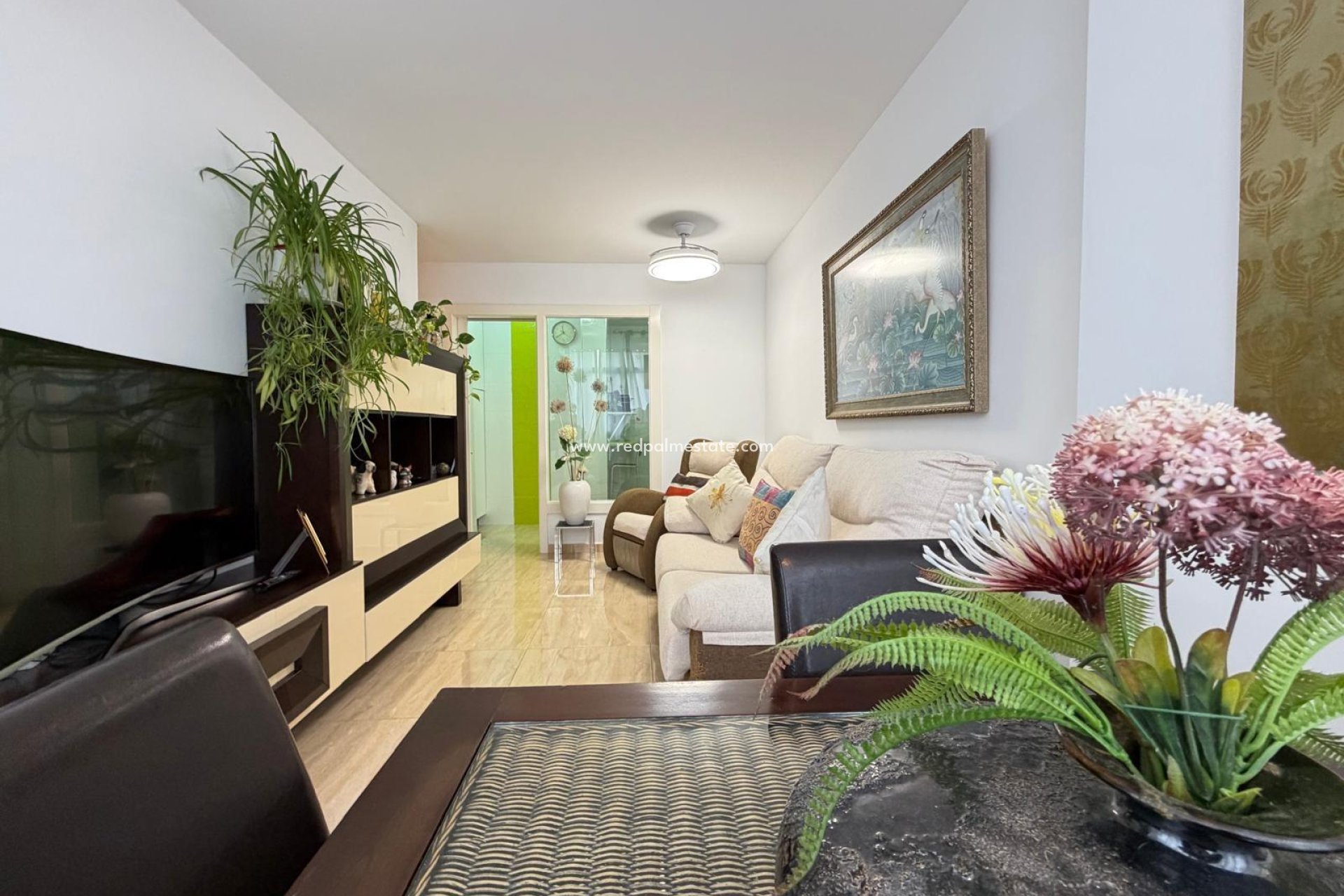 Reventa - Apartamento -
Torrevieja - Playa del Cura