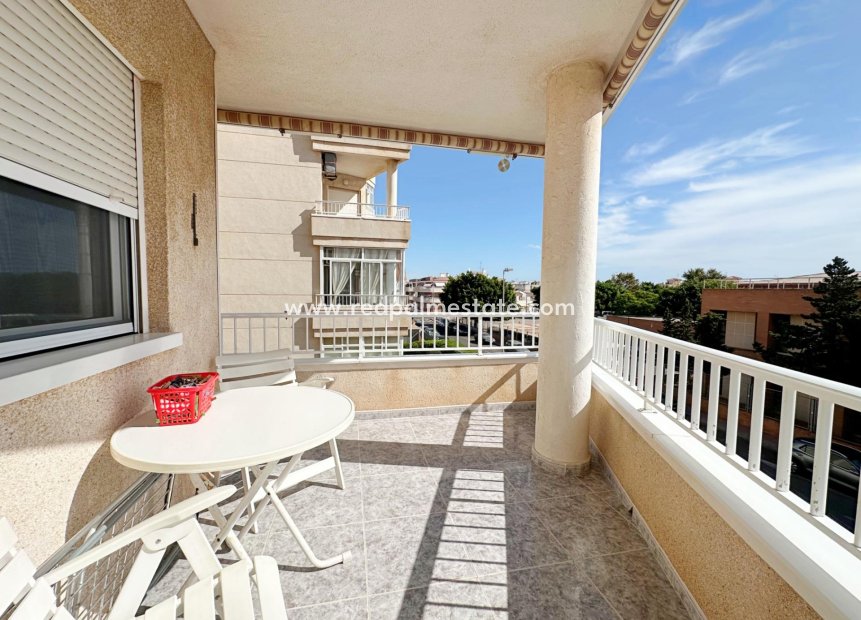Reventa - Apartamento -
Torrevieja - Playa del Cura