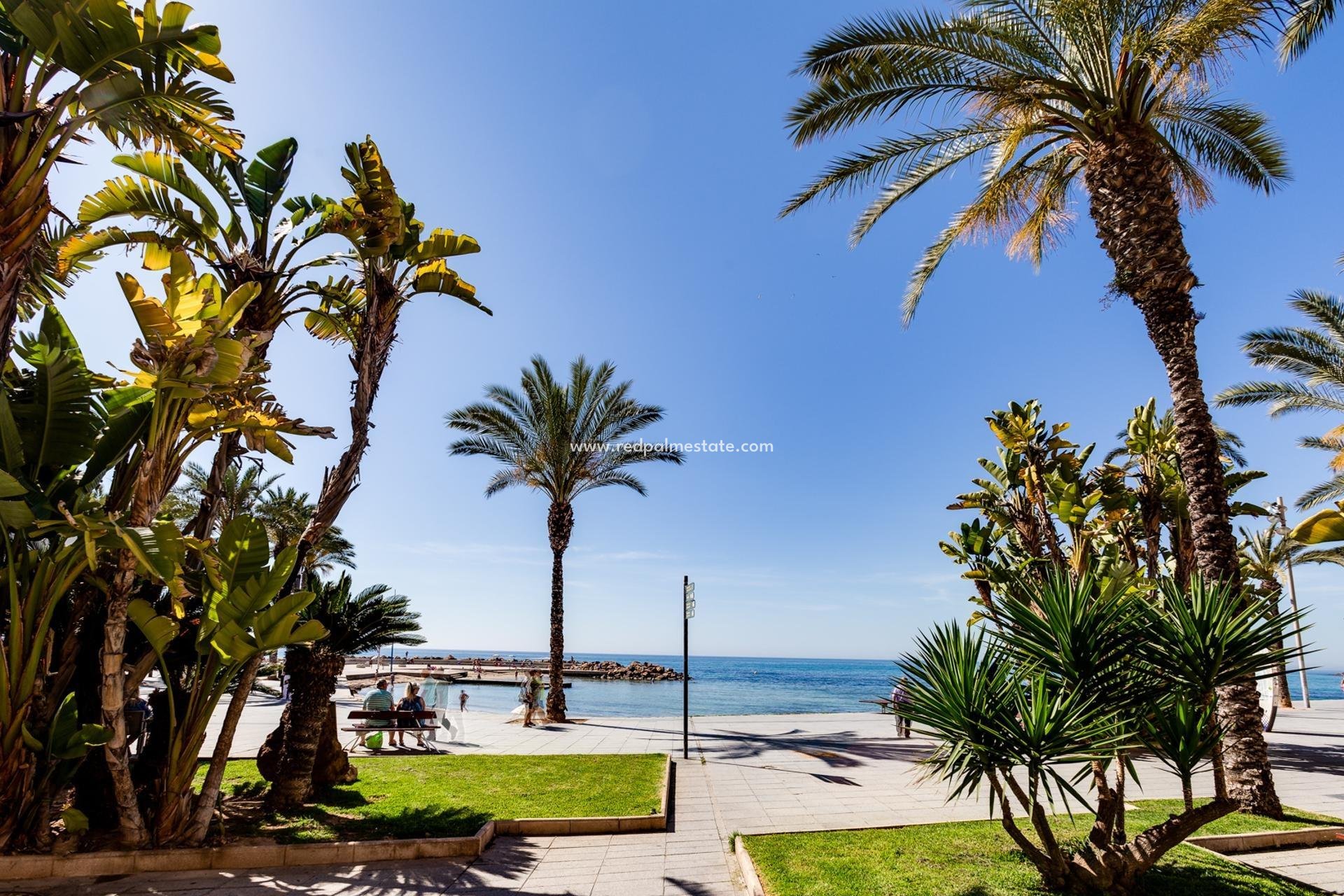 Reventa - Apartamento -
Torrevieja - Playa del Cura