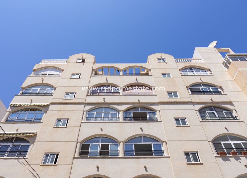 Reventa - Apartamento -
Torrevieja - Playa del Cura