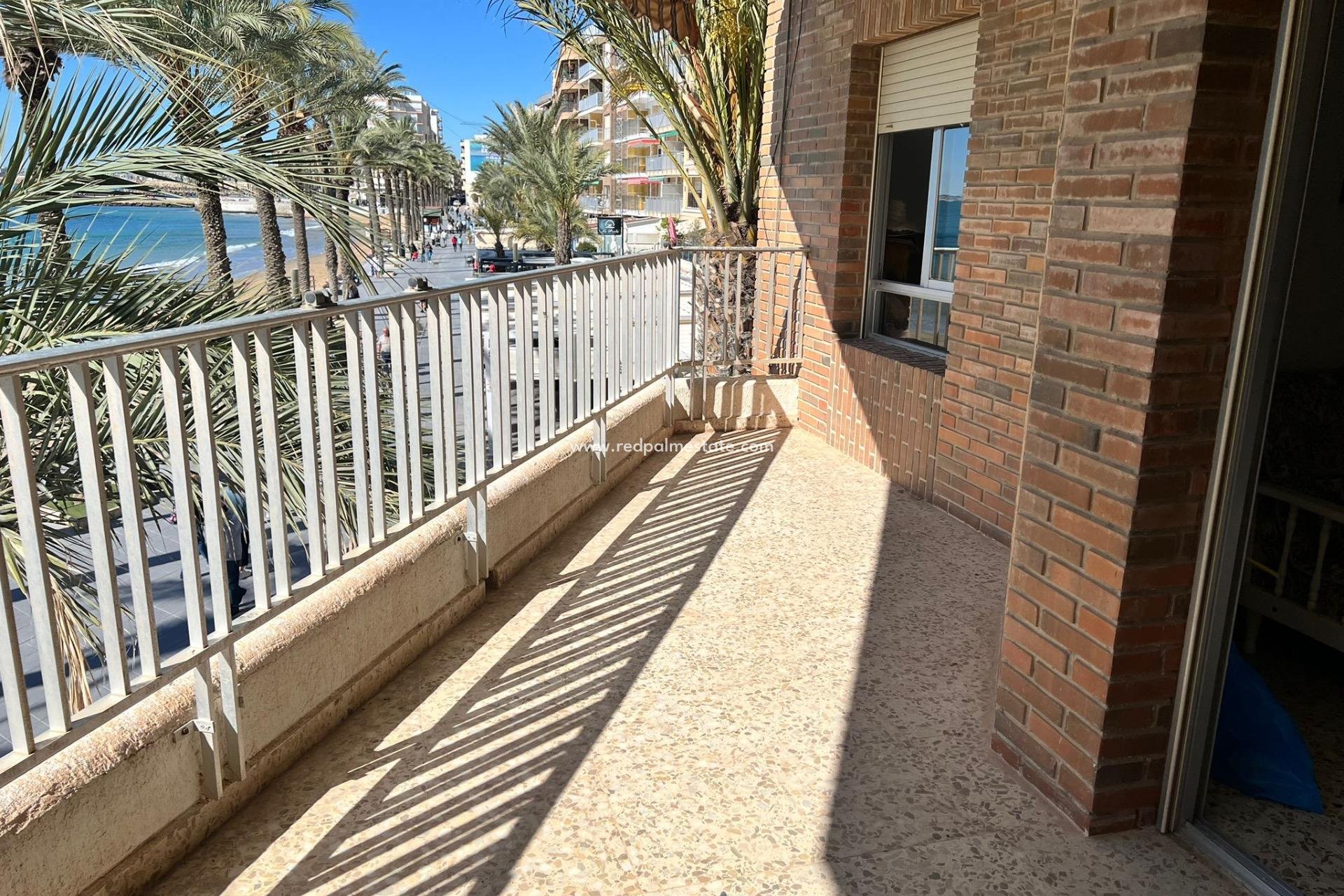 Reventa - Apartamento -
Torrevieja - Playa del Cura