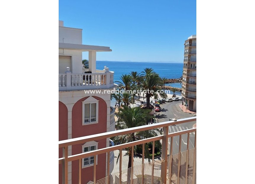 Reventa - Apartamento -
Torrevieja - Playa del cura