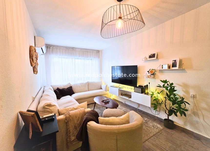 Reventa - Apartamento -
Torrevieja - Playa del Cura