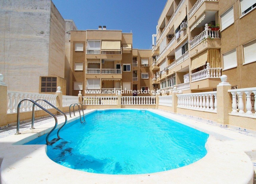 Reventa - Apartamento -
Torrevieja - Playa del Cura