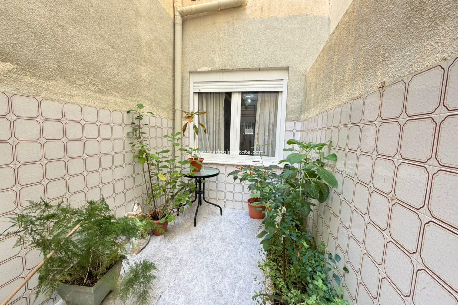 Reventa - Apartamento -
Torrevieja - Playa del Cura