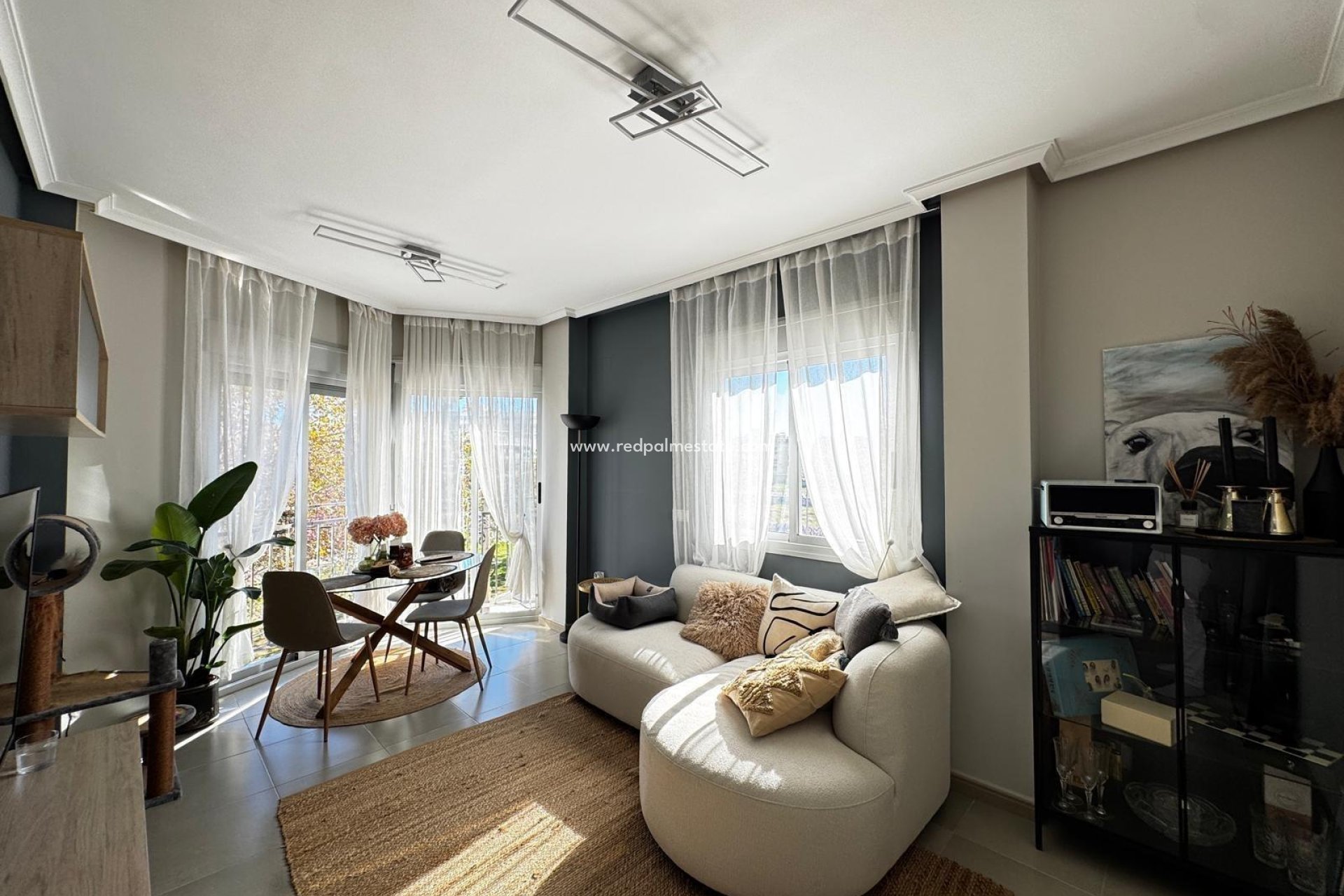 Reventa - Apartamento -
Torrevieja - Playa del Cura