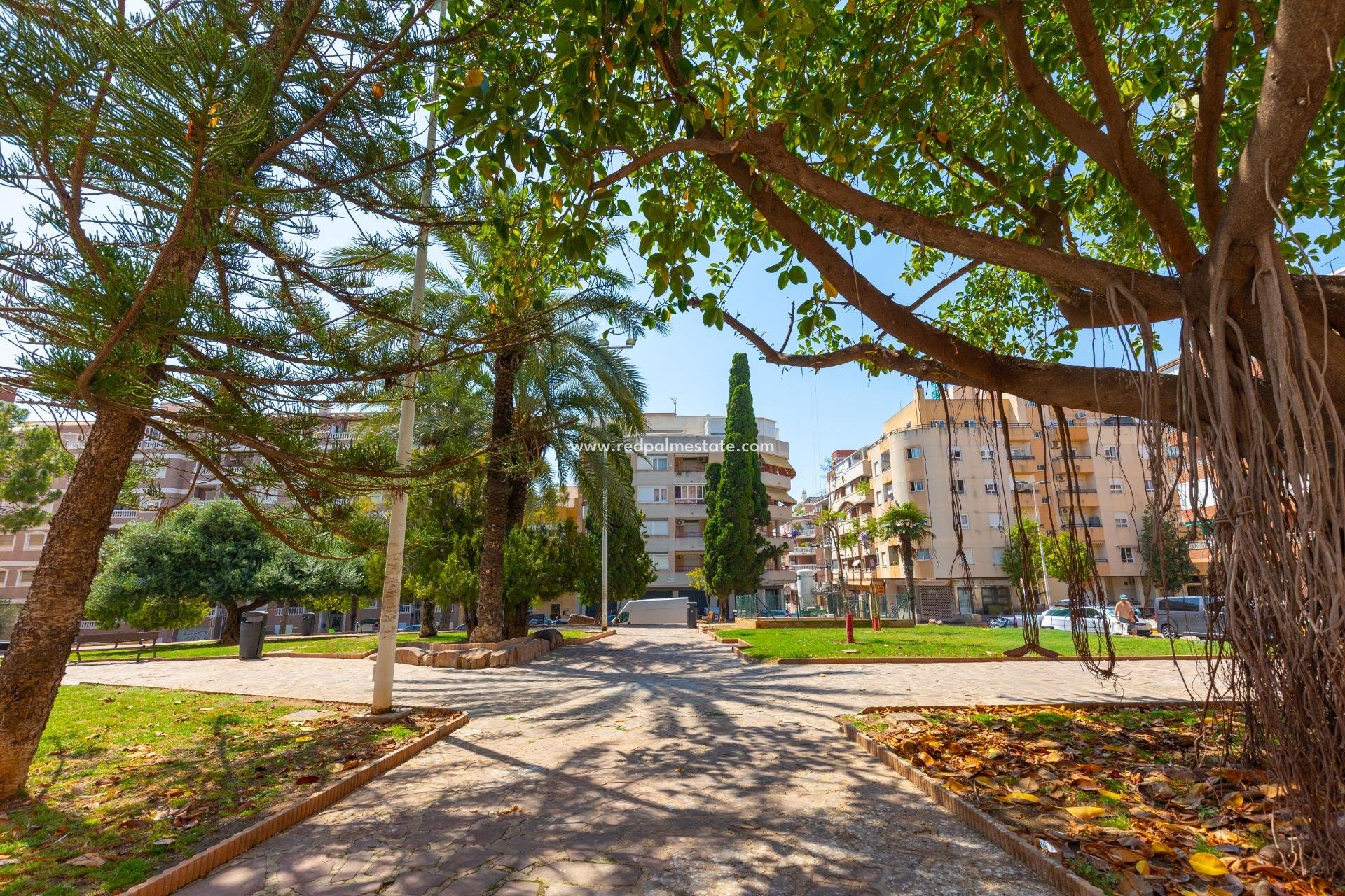 Reventa - Apartamento -
Torrevieja - Playa del Cura