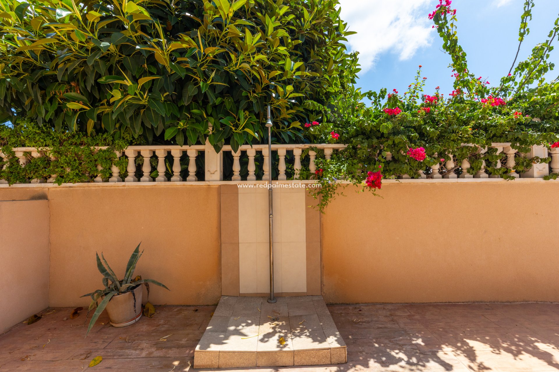 Reventa - Apartamento -
Torrevieja - Punta Prima Torrevieja