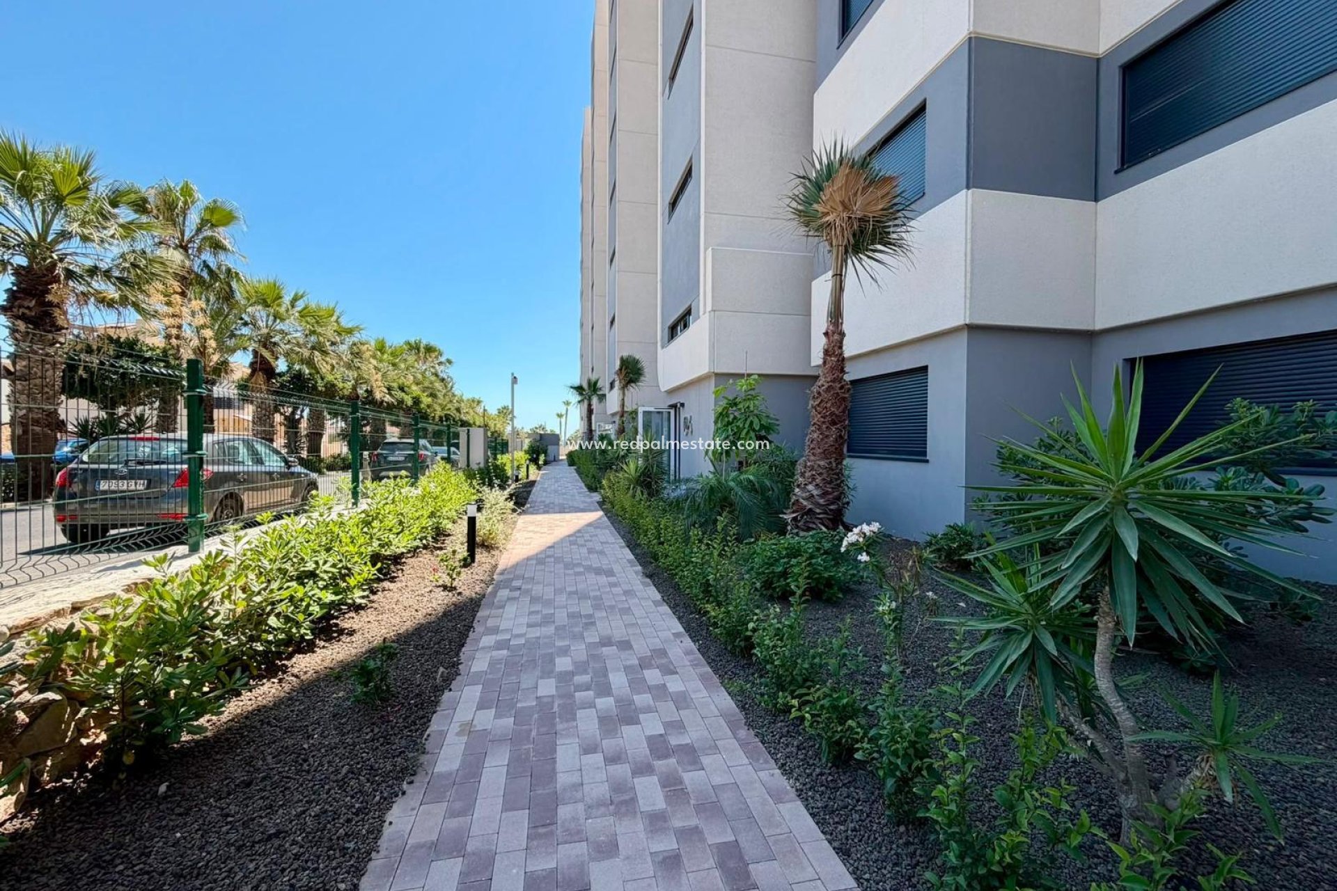 Reventa - Apartamento -
Torrevieja - Punta prima