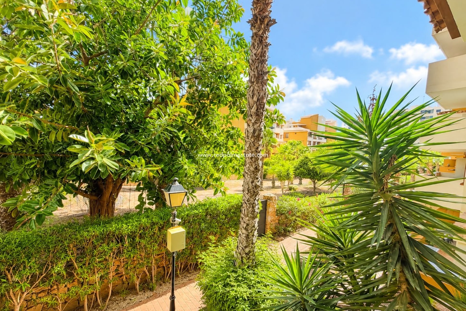 Reventa - Apartamento -
Torrevieja - Punta prima