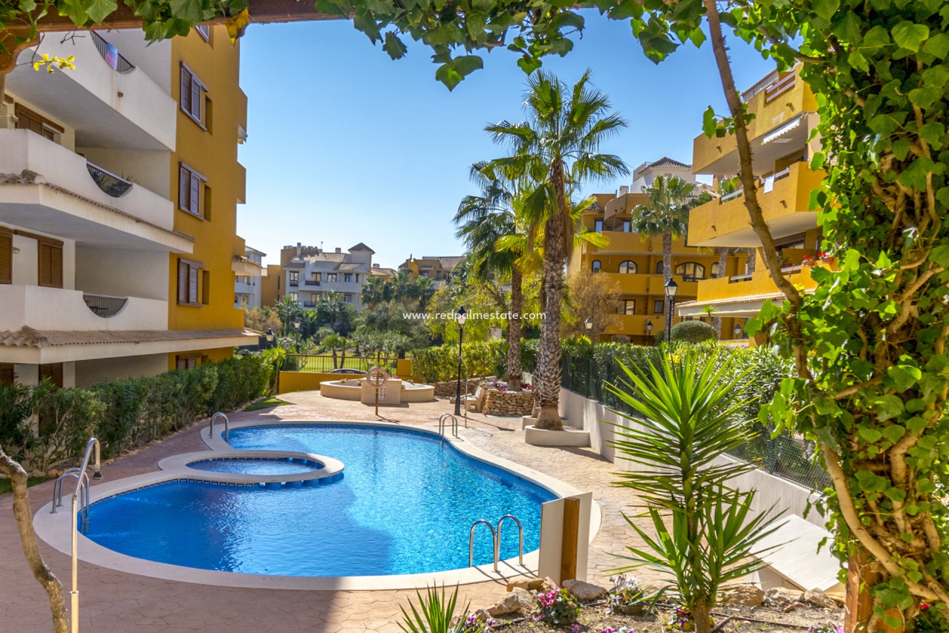 Reventa - Apartamento -
Torrevieja - Punta prima