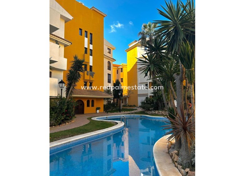 Reventa - Apartamento -
Torrevieja - Punta prima