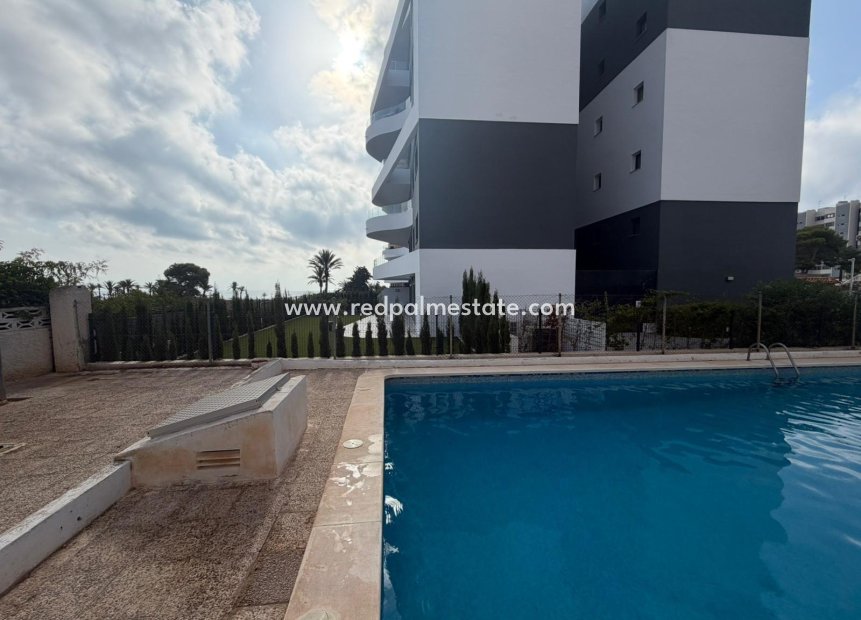 Reventa - Apartamento -
Torrevieja - Punta prima