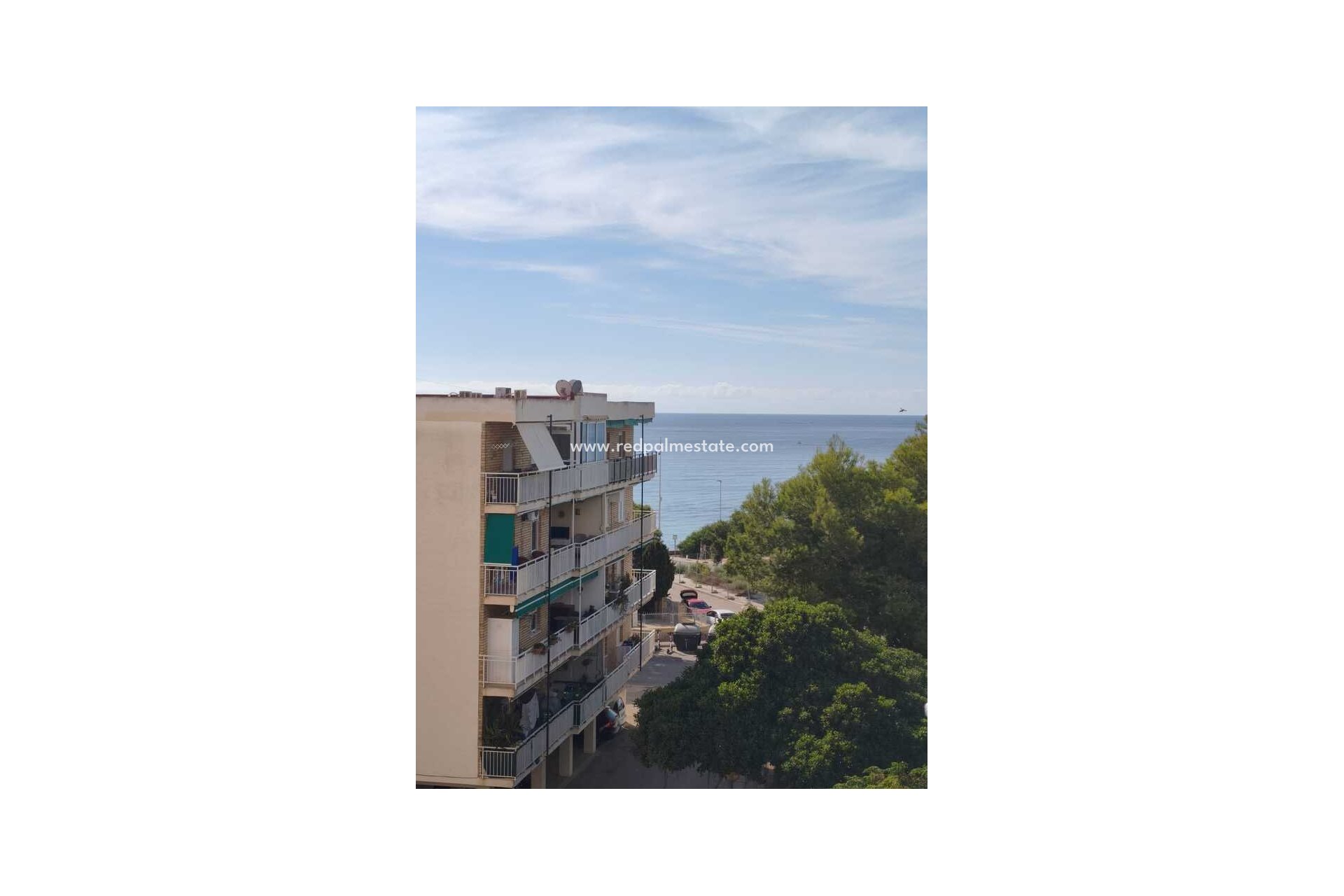 Reventa - Apartamento -
Torrevieja - Punta prima
