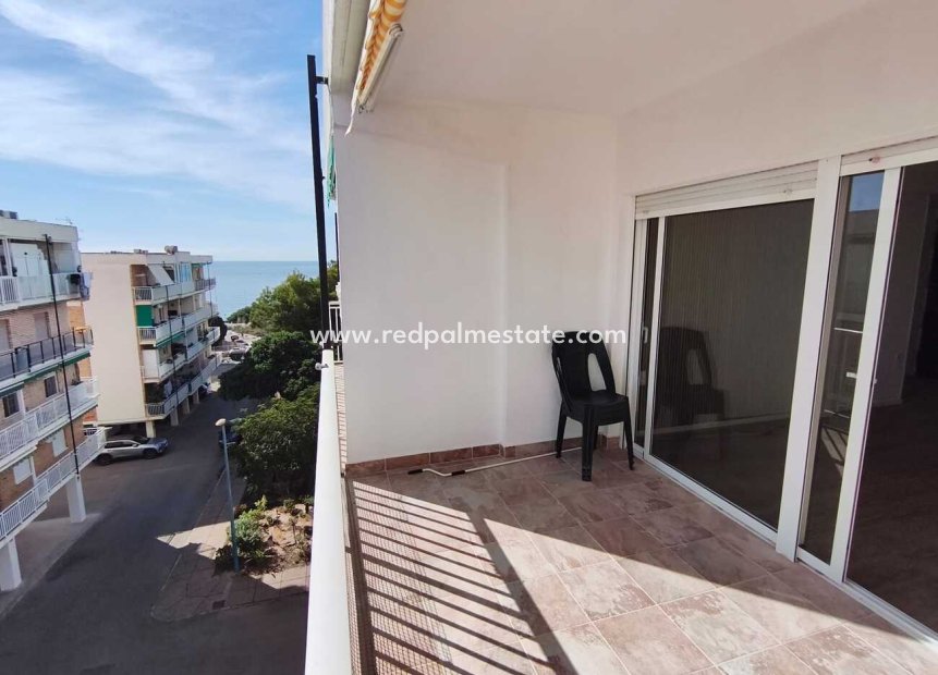 Reventa - Apartamento -
Torrevieja - Punta prima
